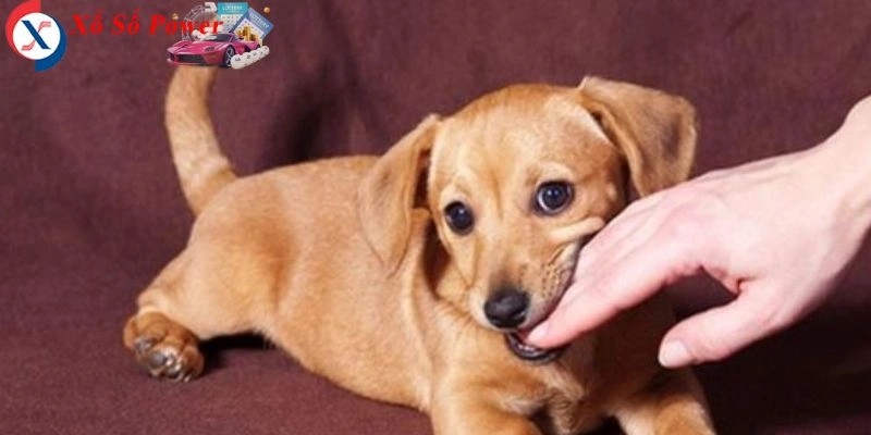 Có thể liên quan đến sự phản kháng hoặc những vấn đề chưa được giải quyết