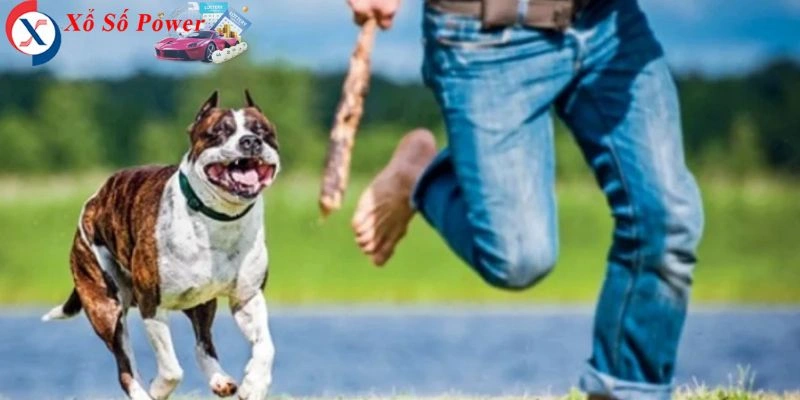 Ý nghĩa giấc mơ liên quan đến sự nguy hiểm và hành động bảo vệ