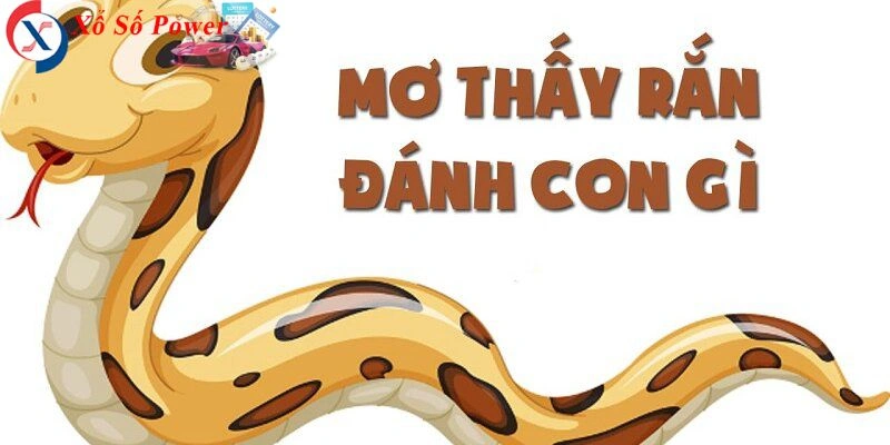 Giấc mơ về sinh vật mạnh mẽ và bí ẩn trong tự nhiên