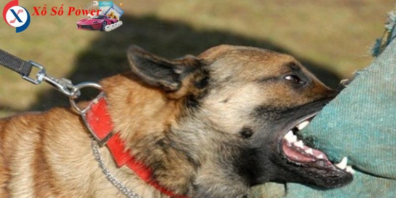 Biểu tượng của sự bảo vệ hoặc những mối đe dọa tiềm ẩn trong cuộc sống