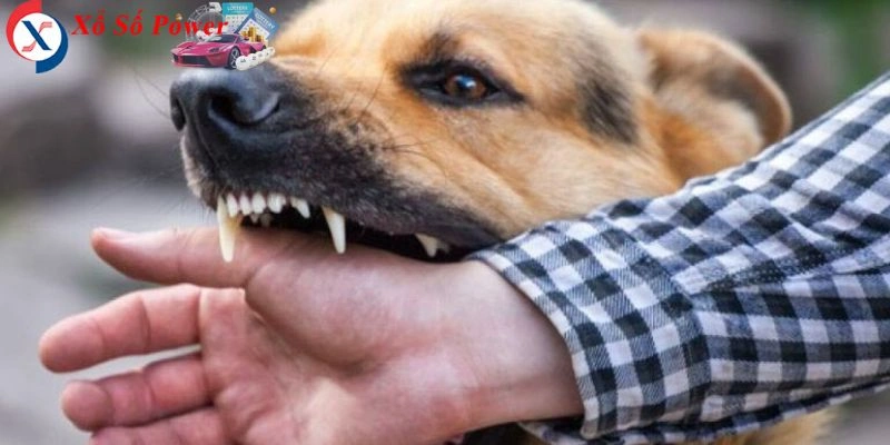 Hình ảnh của sự nguy hiểm và sự cảnh báo trong cuộc sống