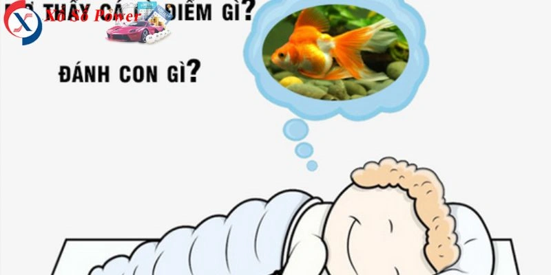 Giải mã giấc mơ về động vật dưới nước và con số may mắn