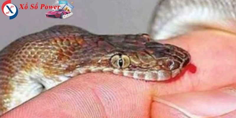 Tìm hiểu con số nào có thể mang lại vận may