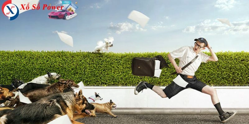 Khám phá thông điệp giấc mơ về việc bị tấn công và các con số may mắn