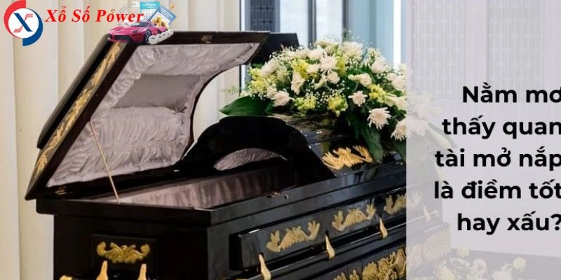 Biểu tượng của sự kết thúc một chu kỳ và mở ra cơ hội mới