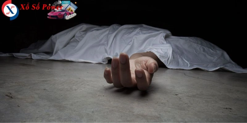 Giấc mơ phản ánh sự thay đổi lớn và sự tái sinh