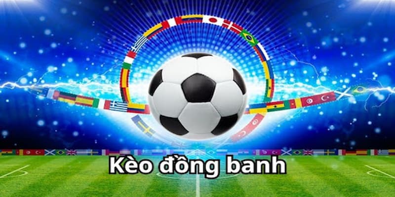 Bongvip
