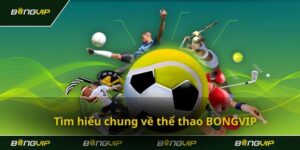 Bongvip - Nền tảng chơi cá cược thể thao soi kèo cực đỉnh