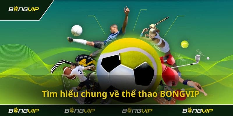 Bongvip - Nền tảng chơi cá cược thể thao soi kèo cực đỉnh